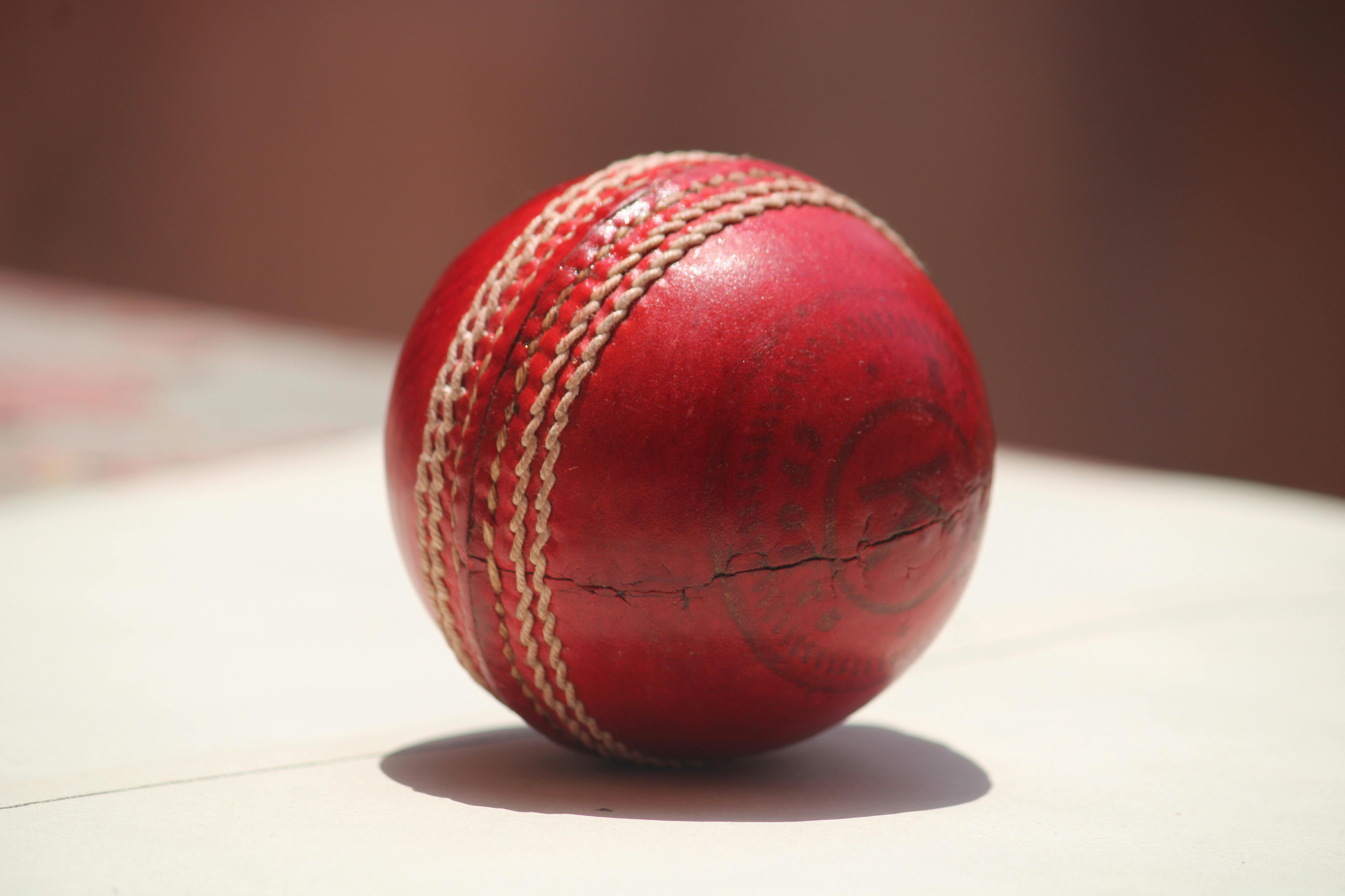 Cricket